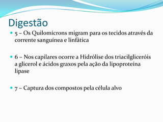 Digestão
 5 – Os Quilomícrons migram para os tecidos através da
  corrente sanguínea e linfática

 6 – Nos capilares ocorre a Hidrólise dos triacilgliceróis
  a glicerol e ácidos graxos pela ação da lipoproteína
  lipase

 7 – Captura dos compostos pela célula alvo
 