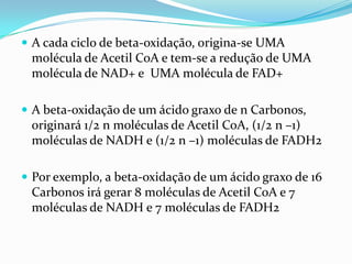  A cada ciclo de beta-oxidação, origina-se UMA
 molécula de Acetil CoA e tem-se a redução de UMA
 molécula de NAD+ e UMA molécula de FAD+

 A beta-oxidação de um ácido graxo de n Carbonos,
 originará 1/2 n moléculas de Acetil CoA, (1/2 n –1)
 moléculas de NADH e (1/2 n –1) moléculas de FADH2

 Por exemplo, a beta-oxidação de um ácido graxo de 16
 Carbonos irá gerar 8 moléculas de Acetil CoA e 7
 moléculas de NADH e 7 moléculas de FADH2
 