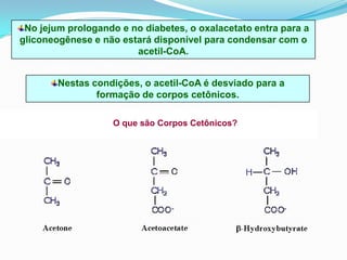 No jejum prologando e no diabetes, o oxalacetato entra para a
gliconeogênese e não estará disponível para condensar com o
                        acetil-CoA.


        Nestas condições, o acetil-CoA é desviado para a
                formação de corpos cetônicos.

                    O que são Corpos Cetônicos?
 