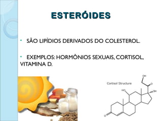 ESTERÓIDES

   SÃO LIPÍDIOS DERIVADOS DO COLESTEROL.

  EXEMPLOS: HORMÔNIOS SEXUAIS, CORTISOL,
VITAMINA D.
 