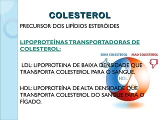 COLESTEROL
PRECURSOR DOS LIPÍDIOS ESTERÓIDES

LIPOPROTEÍNAS TRANSPORTADORAS DE
COLESTEROL:

LDL: LIPOPROTEINA DE BAIXA DENSIDADE QUE
TRANSPORTA COLESTEROL PARA O SANGUE.

HDL: LIPOPROTEÍNA DE ALTA DENSIDADE QUE
TRANSPORTA COLESTEROL DO SANGUE PARA O
FÍGADO.
 