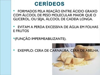 CERÍDEOS
 FORMADOS PELA REAÇÃO ENTRE ÁCIDO GRAXO
COM ÁLCOOL DE PESO MOLECULAR MAIOR QUE O
GLICEROL, OU SEJA, ÁLCOOL DE CADEIA LONGA.

 EVITAM A PERDA EXCESSIVA DE ÁGUA EM FOLHAS
E FRUTOS

(FUNÇÃO IMPERMEABILIZANTE).


 EXEMPLO: CERA DE CARNAÚBA, CERA DE ABELHA.
 