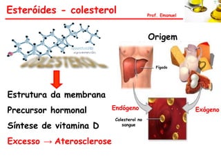 Esteróides - colesterol                   Prof. Emanuel




                                          Origem


                                             Fígado




Estrutura da membrana
Precursor hormonal        Endógeno                        Exógeno
                          Colesterol no
Síntese de vitamina D        sangue



Excesso → Aterosclerose
 