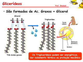Glicerídeos                                        Prof. Emanuel


• São formados de Ac. Graxos + Glicerol
           Glicerol

                                   Triglicerídeo
                                                          Tecido
                                                          adiposo




                                                                         Membrana
                                                                         plasmática

                                                                    Gordura

                                                         Núcleo


  Três ácidos graxos     Os Triglicerídeos podem ser energéticos,
                       dar isolamento térmico ou proteção mecânica
 