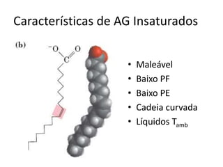 Características de AG Insaturados
• Maleável
• Baixo PF
• Baixo PE
• Cadeia curvada
• Líquidos Tamb
 
