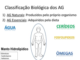 Classificação Biológica dos AG
1) AG Naturais: Produzidos pelo próprio organismo
2) AG Essenciais: Adquiridos pela dieta
Glândulas
-Sudoríparas
-Sebáceas
Manto Hidrolipídico
 