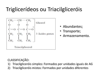 Triglicerídeos ou Triacilgliceróis
CLASSIFICAÇÃO:
1) Triacilgliceróis simples: Formados por unidades iguais de AG
2) Triacilgliceróis mistos: Formados por unidades diferentes
• Abundantes;
• Transporte;
• Armazenamento.
 