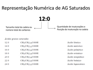 Representação Numérica de AG Saturados
12:0
Tamanho total da cadeia ou
número total de carbonos
Quantidade de insaturações e
Posição da insaturação na cadeia
 
