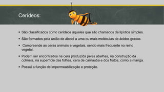Cerídeos:
 São classificados como cerídeos aqueles que são chamados de lipídios simples.
 São formados pela união de álcool a uma ou mais moléculas de ácidos graxos
 Compreende as ceras animais e vegetais, sendo mais frequente no reino
vegetal.
 Podem ser encontrados na cera produzida pelas abelhas, na construção da
colmeia, na superfície das folhas, cera de carnaúba e dos frutos, como a manga.
 Possui a função de impermeabilização e proteção.
 