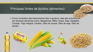 Principais fontes de lipídios (alimentos):
 Como os lipídios são basicamente óleo e gordura, eles são encontrados
em diversos alimentos como: Margarinas, Milho, Aveia, Soja, Gergelim,
Cevada, Trigo integral, Centeio, Óleo de canola, Óleo de soja, Óleo de
peixes.
 