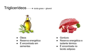 Triglicerídeos ácido graxo + glicerol
● Óleos
● Reserva energética
● É encontrado em
sementes
● Gordura
● Reserva energética e
isolante térmico
● É encontrada no
tecido adiposo
 