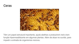 Ceras
Têm um papel estrutural importante, ajuda abelhas a produzirem mel e tem
função hipermeabilizante em algumas plantas. Além de atuar no ouvido, para
impedir a entrada de organismos nocivos.
 