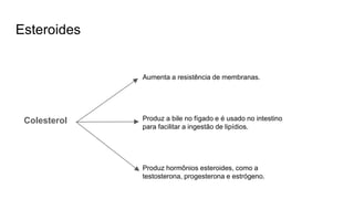 Esteroides
Colesterol
Aumenta a resistência de membranas.
Produz a bile no fígado e é usado no intestino
para facilitar a ingestão de lipídios.
Produz hormônios esteroides, como a
testosterona, progesterona e estrógeno.
 