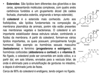 • Esteroides: São lipídios bem diferentes dos glicerídios e das
ceras, apresentando moléculas complexas, com quatro anéis
carbônicos fundidos e um grupamento álcool (de cadeia
fechada, chamados esteróis, originando o tempo esteroide).
O colesterol é o esteroide mais conhecido. Junto aos
fosfolipídios, são lipídios fundamentais na composição da
membrana plasmática de animais, porém não estão presentes
nas membranas vegetais e bacterianas. O colesterol é um
importante estabilizador dessa estrutura celular, controlando a
fluidez da membrana. A partir do colesterol, formam-se vários
lipídios importantes, os quais possuem, principalmente função
hormonal. São exemplo os hormônios sexuais masculino
(testosterona) e feminino (progesterona e estrógeno), os
hormônios corticoides (aldosterona e cortisol) e a vitamina D.
No fígado, o colesterol pode ser convertido em ácido cólico, e a
partir daí, em sais biliares, enviados para a vesícula biliar, de
onde é eliminado para a emulsificação de gorduras no intestino,
e depois é eliminado junto às fezes.
Cerca de 90% do colesterol é endógeno, tendo origem no fígado.
 