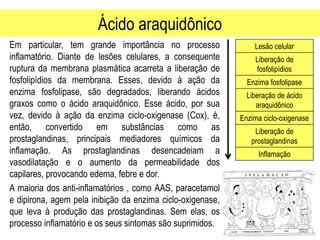 Ácido araquidônico
Em particular, tem grande importância no processo
inflamatório. Diante de lesões celulares, a consequente
ruptura da membrana plasmática acarreta a liberação de
fosfolipídios da membrana. Esses, devido à ação da
enzima fosfolipase, são degradados, liberando ácidos
graxos como o ácido araquidônico. Esse ácido, por sua
vez, devido à ação da enzima ciclo-oxigenase (Cox), é,
então, convertido em substâncias como as
prostaglandinas, principais mediadores químicos da
inflamação. As prostaglandinas desencadeiam a
vasodilatação e o aumento da permeabilidade dos
capilares, provocando edema, febre e dor.
A maioria dos anti-inflamatórios , como AAS, paracetamol
e dipirona, agem pela inibição da enzima ciclo-oxigenase,
que leva à produção das prostaglandinas. Sem elas, os
processo inflamatório e os seus sintomas são suprimidos.
Lesão celular
Liberação de
fosfolipídios
Enzima fosfolipase
Liberação de ácido
araquidônico
Enzima ciclo-oxigenase
Liberação de
prostaglandinas
Inflamação
 