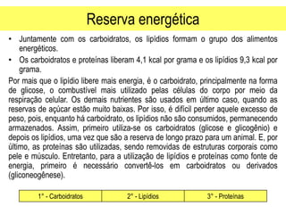 Reserva energética
• Juntamente com os carboidratos, os lipídios formam o grupo dos alimentos
energéticos.
• Os carboidratos e proteínas liberam 4,1 kcal por grama e os lipídios 9,3 kcal por
grama.
Por mais que o lipídio libere mais energia, é o carboidrato, principalmente na forma
de glicose, o combustível mais utilizado pelas células do corpo por meio da
respiração celular. Os demais nutrientes são usados em último caso, quando as
reservas de açúcar estão muito baixas. Por isso, é difícil perder aquele excesso de
peso, pois, enquanto há carboidrato, os lipídios não são consumidos, permanecendo
armazenados. Assim, primeiro utiliza-se os carboidratos (glicose e glicogênio) e
depois os lipídios, uma vez que são a reserva de longo prazo para um animal. E, por
último, as proteínas são utilizadas, sendo removidas de estruturas corporais como
pele e músculo. Entretanto, para a utilização de lipídios e proteínas como fonte de
energia, primeiro é necessário convertê-los em carboidratos ou derivados
(gliconeogênese).
1° - Carboidratos 2° - Lipídios 3° - Proteínas
 