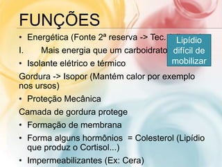FUNÇÕES
• Energética (Fonte 2ª reserva -> Tec. Adiposo)
I. Mais energia que um carboidrato
• Isolante elétrico e térmico
Gordura -> Isopor (Mantém calor por exemplo
nos ursos)
• Proteção Mecânica
Camada de gordura protege
• Formação de membrana
• Forma alguns hormônios = Colesterol (Lipídio
que produz o Cortisol...)
• Impermeabilizantes (Ex: Cera)
Lipídio
difícil de
mobilizar
 