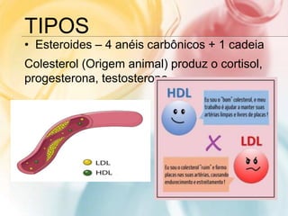 TIPOS
• Esteroides – 4 anéis carbônicos + 1 cadeia
Colesterol (Origem animal) produz o cortisol,
progesterona, testosterona
 