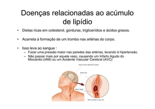 Doenças relacionadas ao acúmulo
de lipídio
• Dietas ricas em colesterol, gorduras, triglicerídios e ácidos graxos.
• Acarreta à formação de um trombo nas artérias do corpo.
• Isso leva ao sangue :
– Fazer uma pressão maior nas paredes das artérias, levando à hipertensão.
– Não passar mais por aquele vaso, causando um Infarto Agudo do
Miocárdio (IAM) ou um Acidente Vascular Cerebral (AVC)
 