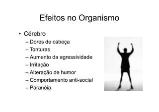 Efeitos no Organismo
• Cérebro
– Dores de cabeça
– Tonturas
– Aumento da agressividade
– Irritação
– Alteração de humor
– Comportamento anti-social
– Paranóia
 