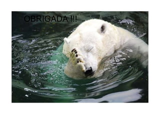 OBRIGADA !!!
 