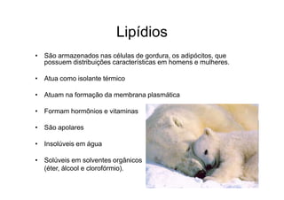 Lipídios
• São armazenados nas células de gordura, os adipócitos, que
possuem distribuições características em homens e mulheres.
• Atua como isolante térmico
• Atuam na formação da membrana plasmática
• Formam hormônios e vitaminas
• São apolares
• Insolúveis em água
• Solúveis em solventes orgânicos
(éter, álcool e clorofórmio).
 