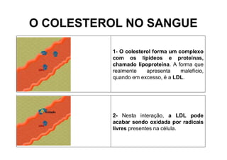 O COLESTEROL NO SANGUE
1- O colesterol forma um complexo
com os lipídeos e proteínas,
chamado lipoproteína. A forma que
realmente apresenta malefício,
quando em excesso, é a LDL.
2- Nesta interação, a LDL pode
acabar sendo oxidada por radicais
livres presentes na célula.
 