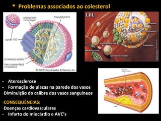  Problemas associados ao colesterol




- Aterosclerose
- Formação de placas na parede dos vasos
-Diminuição do calibre dos vasos sanguíneos
-CONSEQUÊNCIAS:
-Doenças cardiovasculares
- Infarto do miocárdio e AVC’s
 