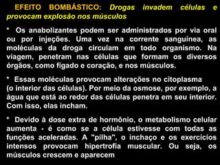   EFEITO  BOMBÁSTICO:  Drogas invadem células e
provocam explosão nos músculos
*    Os  anabolizantes  podem  ser  administrados  por  via  oral 
ou  por  injeções.  Uma  vez  na  corrente  sanguínea,  as 
moléculas  da  droga  circulam  em  todo  organismo.  Na 
viagem,  penetram  nas  células  que  formam  os  diversos 
órgãos, como fígado e coração, e nos músculos.
*  Essas moléculas provocam alterações no citoplasma       
(o interior das células). Por meio da osmose, por exemplo, a 
água que está ao redor das células penetra em seu interior. 
Com isso, elas incham.
*  Devido à dose extra de hormônio, o metabolismo celular 
aumenta  -  é  como  se  a  célula  estivesse  com  todas  as 
funções  aceleradas.  A  "pilha",  o  inchaço  e  os  exercícios 
intensos  provocam  hipertrofia  muscular.  Ou  seja,  os 
músculos crescem e aparecem
 
