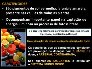 CAROTENÓIDES
- São pigmentos de cor vermelha, laranja e amarela,
  presente nas células de todas as plantas.
- Desempenham importante papel na captação de
  energia luminosa no processo de fotossíntese.
                O β caroteno (pigmento alaranjado) presente na cenoura
                           É precursor da vitamina A (Retinol)

               Os carotenóides são responsáveis pela coloração dos frutos

               Os benefícios que os carotenóides consistem
               em prevenção de doenças com o CÂNCER e
               doença ARTERIAL CORONARIANA;

               São agentes ANTIOXIDANTES e estimulam
               o SISTEMA IMUNOLÓGICO.
 
