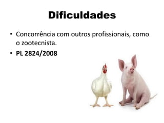 Dificuldades
• Concorrência com outros profissionais, como
  o zootecnista.
• PL 2824/2008
 