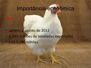 Importância econômica
Aves
• Janeiro a agosto de 2011
• 2,593 milhões de toneladas exportadas
• US$ 5,380 bilhões