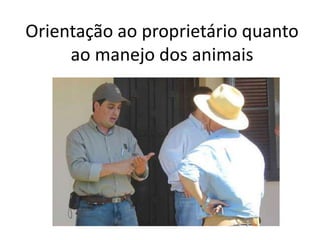 Orientação ao proprietário quanto
ao manejo dos animais