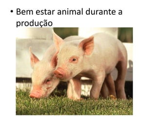 • Bem estar animal durante a
produção