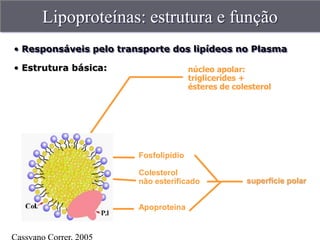 Lipoproteínas: estrutura e função
• Responsáveis pelo transporte dos lipídeos no Plasma

• Estrutura básica:                    núcleo apolar:
                                       triglicerídes +
                                       ésteres de colesterol




                        Fosfolipídio

                        Colesterol
                        não esterificado             superfície polar


                        Apoproteína
 