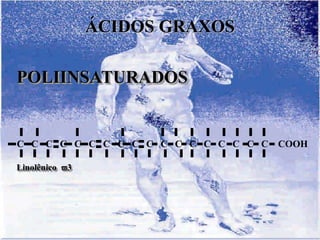 ÁCIDOS GRAXOS

POLIINSATURADOS


C C C C C C C C C C C C C C C C C C   COOH

Linolênico 3
 