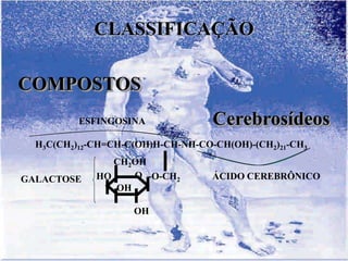 CLASSIFICAÇÃO

COMPOSTOS
          ESFINGOSINA              Cerebrosídeos
  H3C(CH2)12-CH=CH-C(OH)H-CH-NH-CO-CH(OH)-(CH2)21-CH3
                CH2OH
GALACTOSE    HO    O -O-CH2        ÁCIDO CEREBRÔNICO
                OH

                    OH
 