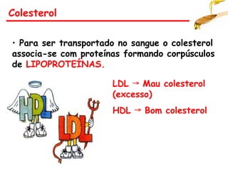 Colesterol
• Para ser transportado no sangue o colesterol
associa-se com proteínas formando corpúsculos
de LIPOPROTEÍNAS.
LDL Mau colesterol
→
(excesso)
HDL Bom colesterol
→
 