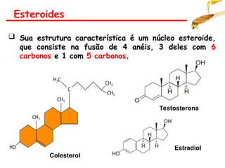 Esteroides
 Sua estrutura característica é um núcleo esteroide,
que consiste na fusão de 4 anéis, 3 deles com 6
carbonos e 1 com 5 carbonos.
Colesterol
Testosterona
Estradiol
 