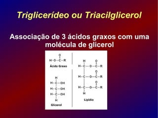 Triglicerídeo ou Triacilglicerol
Associação de 3 ácidos graxos com uma
molécula de glicerol
 