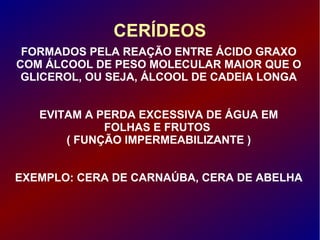 CERÍDEOS
FORMADOS PELA REAÇÃO ENTRE ÁCIDO GRAXO
COM ÁLCOOL DE PESO MOLECULAR MAIOR QUE O
GLICEROL, OU SEJA, ÁLCOOL DE CADEIA LONGA
EVITAM A PERDA EXCESSIVA DE ÁGUA EM
FOLHAS E FRUTOS
( FUNÇÃO IMPERMEABILIZANTE )
EXEMPLO: CERA DE CARNAÚBA, CERA DE ABELHA
 
