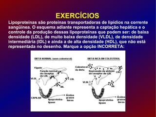 EXERCÍCIOS Lipoproteínas são proteínas transportadoras de lipídios na corrente sangüínea. O esquema adiante representa a captação hepática e o controle da produção dessas lipoproteínas que podem ser: de baixa densidade (LDL), de muito baixa densidade (VLDL), de densidade intermediária (IDL) e ainda a de alta densidade (HDL), que não está representada no desenho. Marque a opção INCORRETA: 