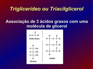 Triglicerídeo ou Triacilglicerol Associação de 3 ácidos graxos com uma molécula de glicerol 