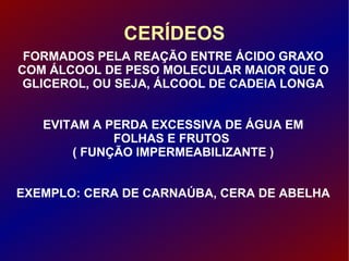 CERÍDEOS FORMADOS PELA REAÇÃO ENTRE ÁCIDO GRAXO COM ÁLCOOL DE PESO MOLECULAR MAIOR QUE O GLICEROL, OU SEJA, ÁLCOOL DE CADEIA LONGA EVITAM A PERDA EXCESSIVA DE ÁGUA EM FOLHAS E FRUTOS  ( FUNÇÃO IMPERMEABILIZANTE ) EXEMPLO: CERA DE CARNAÚBA, CERA DE ABELHA 
