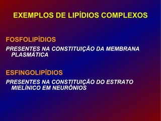 EXEMPLOS DE LIPÍDIOS COMPLEXOS FOSFOLIPÍDIOS   PRESENTES NA CONSTITUIÇÃO DA MEMBRANA PLASMÁTICA ESFINGOLIPÍDIOS   PRESENTES NA CONSTITUIÇÃO DO ESTRATO MIELÍNICO EM NEURÔNIOS 