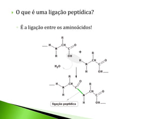    O que é uma ligação peptídica?

    ◦ É a ligação entre os aminoácidos!
 