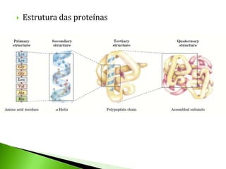    Estrutura das proteínas
 