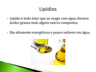    Lipídio é todo éster que ao reagir com água, fornece
    ácidos graxos mais alguns outros compostos.

   São altamente energéticos e pouco solúveis em água.
 