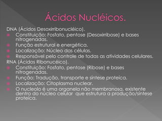 DNA (Ácidos Desoxirribonucléico).
 Constituição: Fosfato, pentose (Desoxirribose) e bases
nitrogenadas.
 Função estrutural e energética.
 Localização: Núcleo das células.
 Responsável pelo controle de todas as atividades celulares.
RNA (Ácidos Ribonucéico).
 Constituição: Fosfato, pentose (Ribose) e bases
nitrogenadas.
 Função: Tradução, transporte e síntese proteíca.
 Localização: Citoplasma nuclear.
 O nucleolo é uma organela não membranosa, existente
dentro do núcleo celular que estrutura a produção/síntese
proteíca.
 