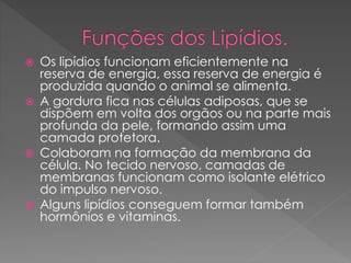  Os lipídios funcionam eficientemente na
reserva de energia, essa reserva de energia é
produzida quando o animal se alimenta.
 A gordura fica nas células adiposas, que se
dispõem em volta dos orgãos ou na parte mais
profunda da pele, formando assim uma
camada protetora.
 Colaboram na formação da membrana da
célula. No tecido nervoso, camadas de
membranas funcionam como isolante elétrico
do impulso nervoso.
 Alguns lipídios conseguem formar também
hormônios e vitaminas.
 